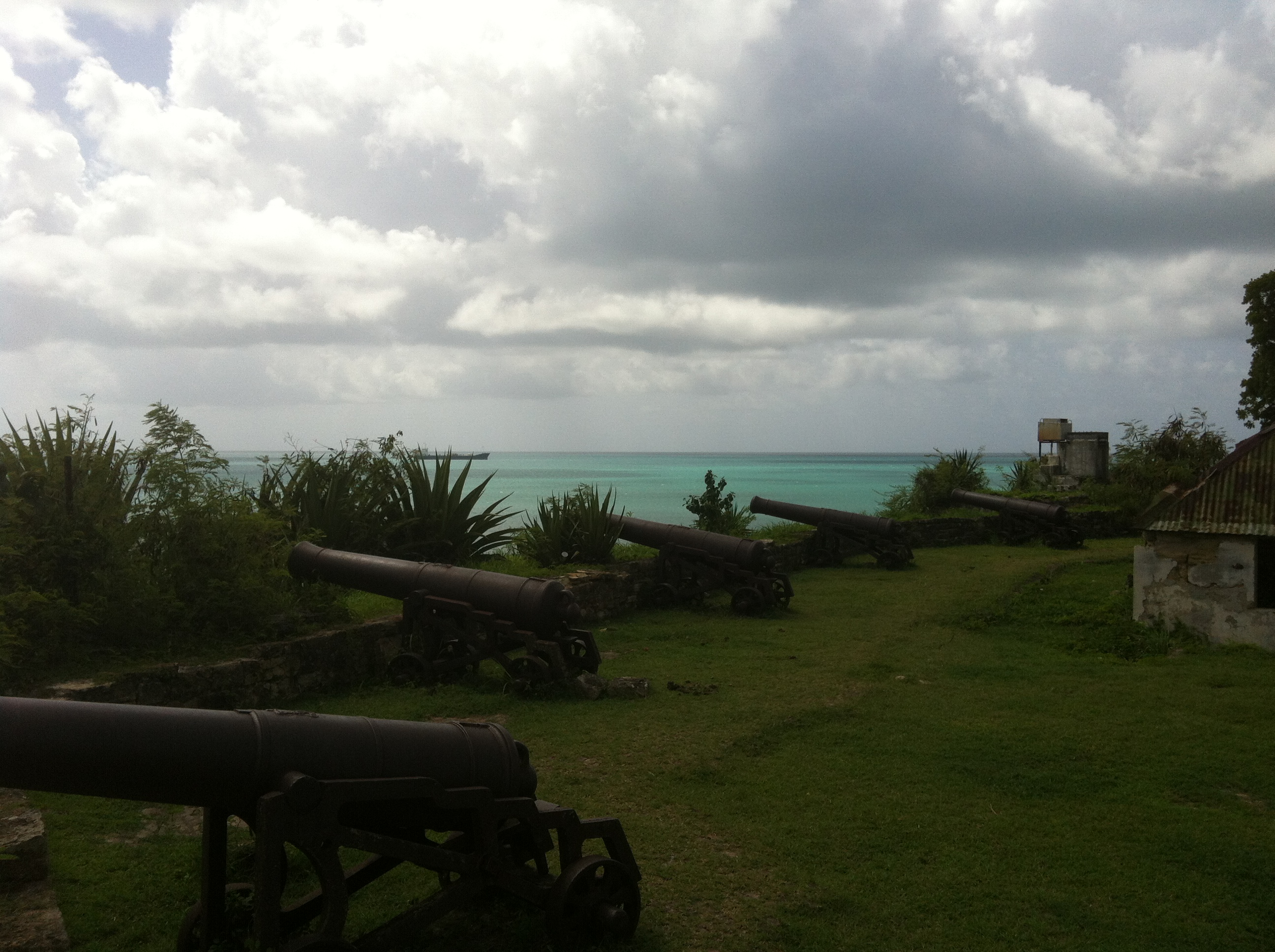 fort james guns