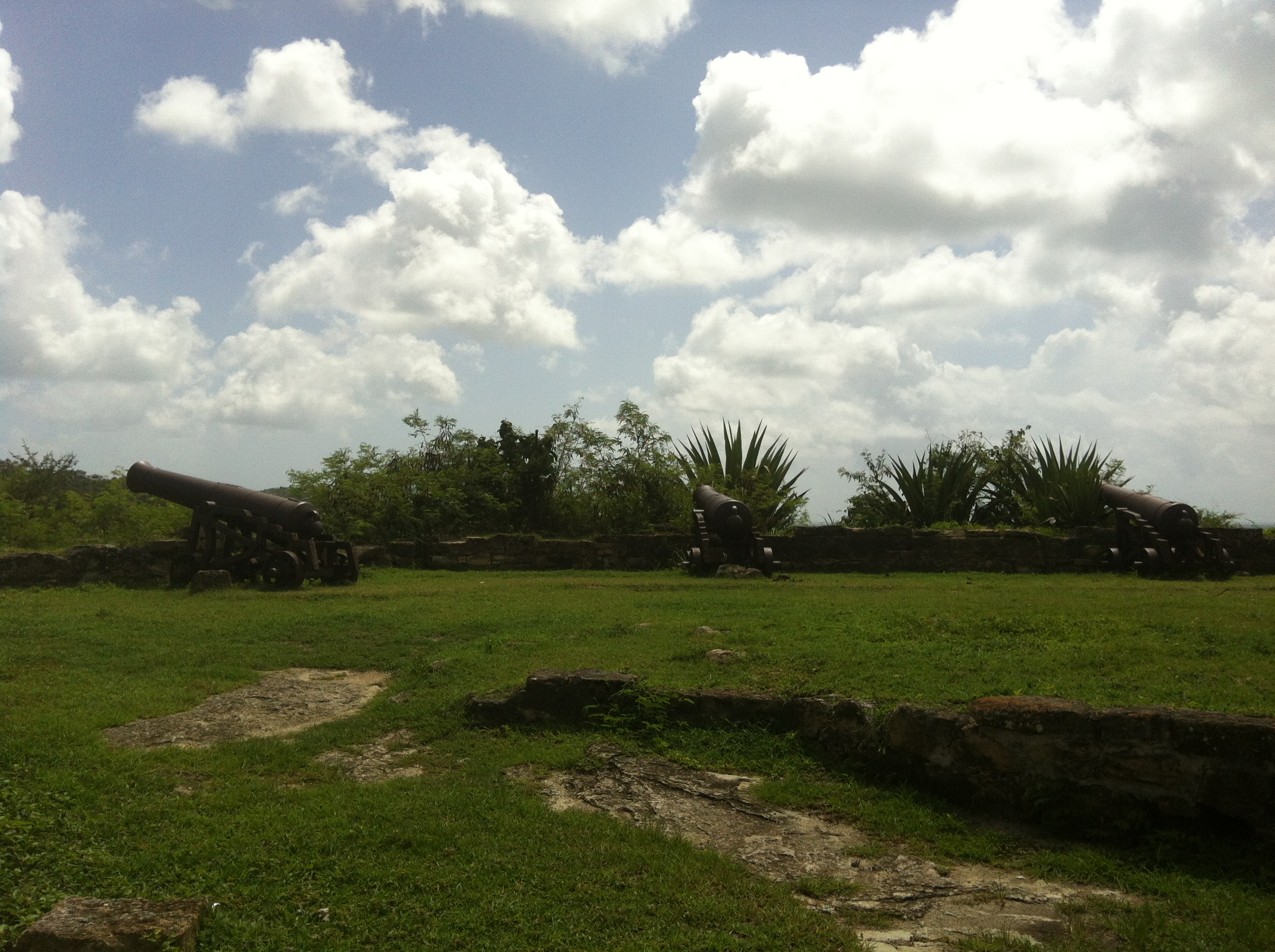 fort james guns