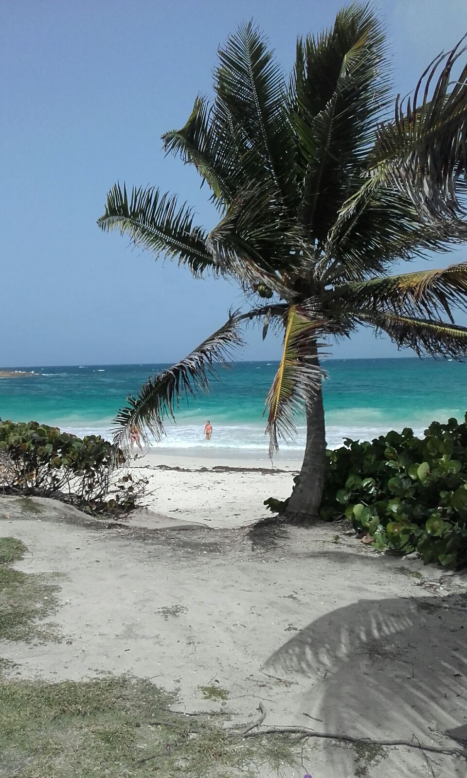 half moon beach