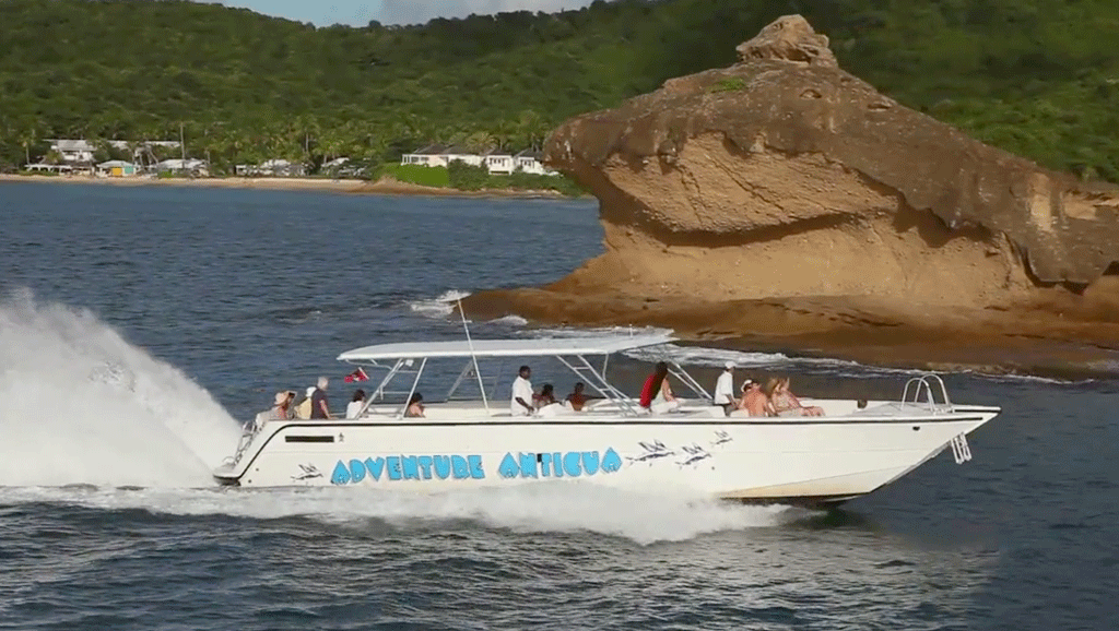 Eli's Eco Tour Boat