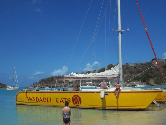 wadadli cats tours